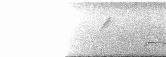 Philippinenschlangenadler - ML282406401