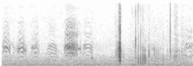 オウム目（インコ科 小さな種） - ML282415251