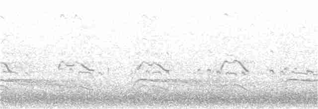 Pluvier kildir - ML282441021