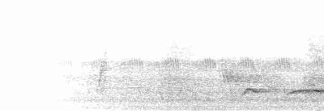 Чагарниця жовтодзьоба - ML282451