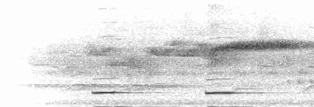 Borneo Islıkçı Bülbülü - ML282479