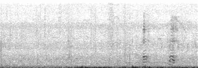 volavka hnědohřbetá - ML282486001