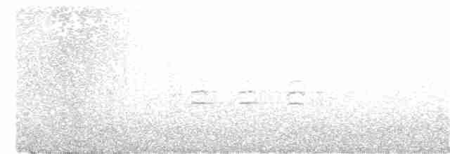 křivka bělokřídlá - ML282514791