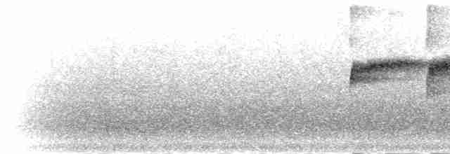 Bornean Whistling-Thrush - ML282519