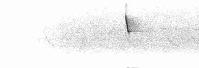Краснохвостая нектарница - ML282547