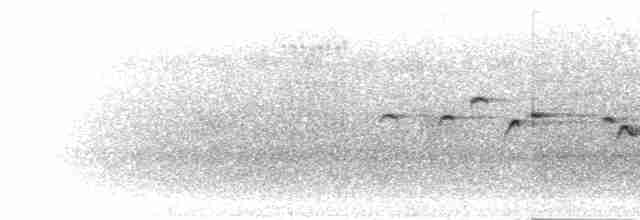 Индиговая мухоловка - ML282550
