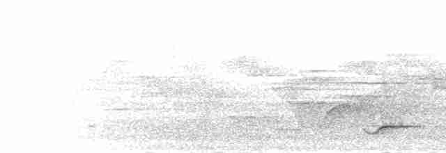 Чагарниця жовтодзьоба - ML282560