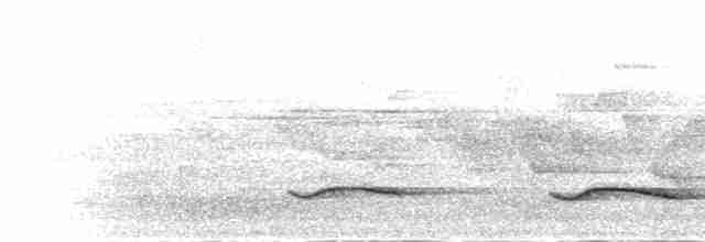Чагарниця жовтодзьоба - ML282561