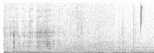 White-tailed Goldenthroat - ML282567751