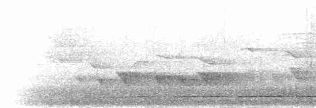 Борнейская лесная куропатка - ML282571