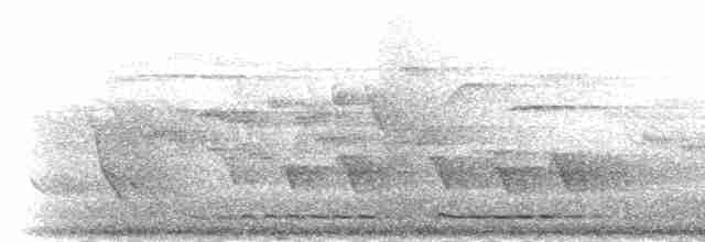 Борнейская лесная куропатка - ML282572