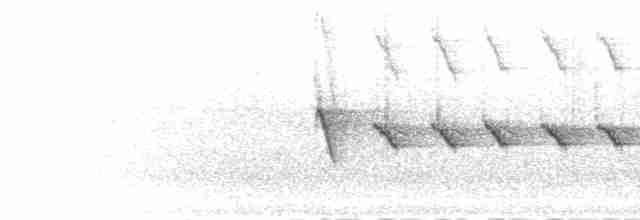 Краснохвостая нектарница - ML282583