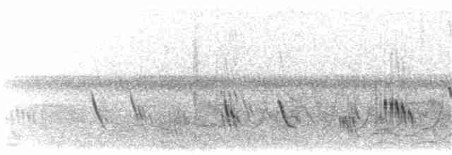 Büyük Mor Kırlangıç (subis/arboricola) - ML282613351