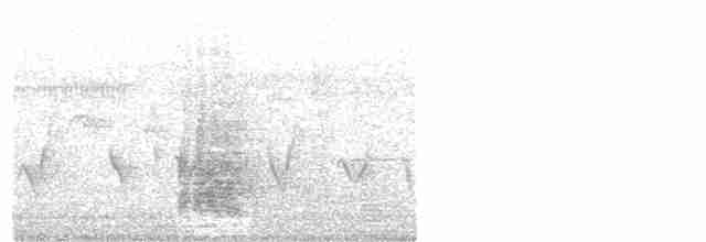 Austral-Schlangenhalsvogel - ML282682161