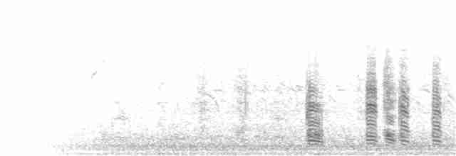 אווז אפור - ML282701651