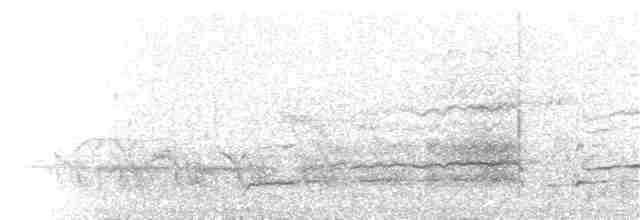 Crested Caracara (Northern) - ML282716671