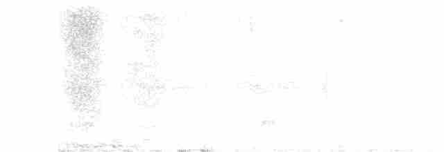 Tinamou perdrix - ML282730921
