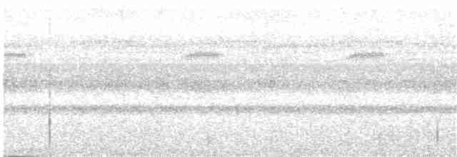 Лінивка-смугохвіст білогорла - ML282754321
