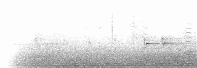 Yellow Warbler (Northern) - ML28276001