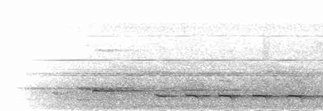 Diard Trogonu - ML282780