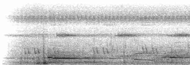 orel šedohlavý - ML282809