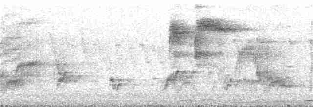 Желтоклювый сорокопут - ML282824511