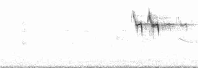 Gray Wagtail - ML282841561