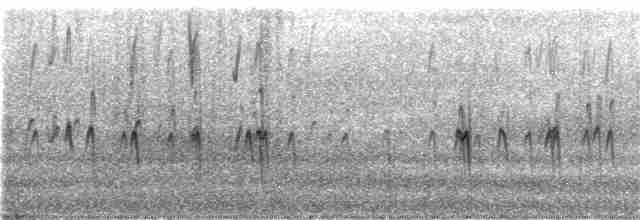 "Шишкар ялиновий (Northeastern, або тип 12)" - ML282861501