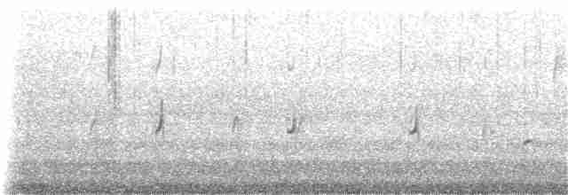 "Шишкар ялиновий (Northeastern, або тип 12)" - ML282861801