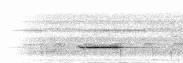 Striped Wren-Babbler - ML282987