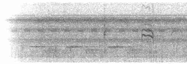 gulkinnedderkoppjeger - ML283014