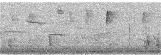 Дрізд-короткодзьоб плямистоволий - ML283070931