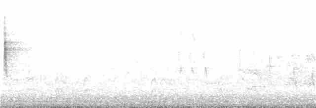 Миртовый певун (coronata) - ML283071451