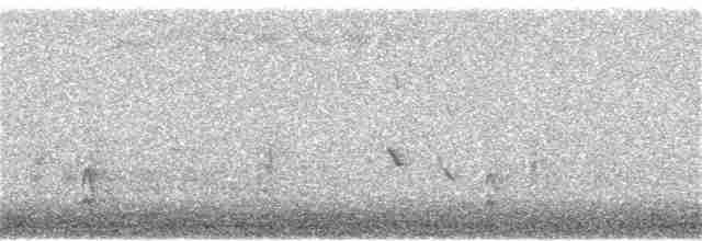 Fox Sparrow (Red) - ML283071511