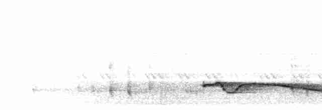 Great Eared-Nightjar - ML283072