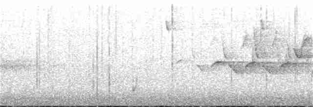 Hooded Warbler - ML28315891