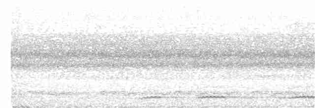 Kestane Sırtlı Serçe Baykuşu - ML283166771