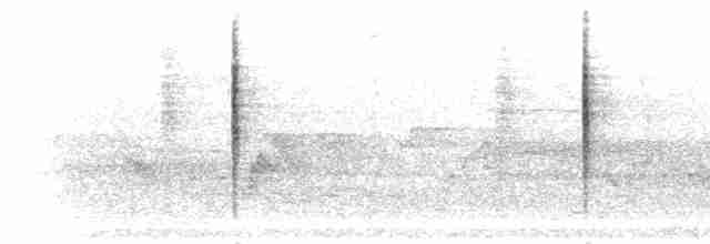 Blyth's Reed Warbler - ML283236