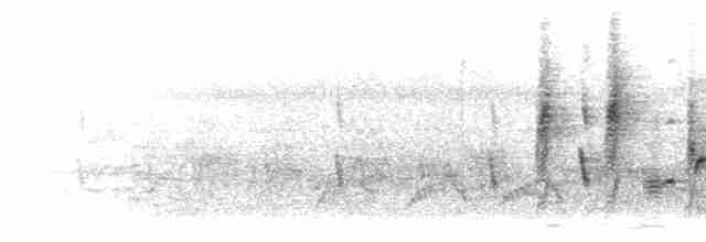 Белогорлая веерохвостка - ML283309