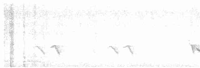 White-browed Shrike-Babbler (Himalayan) - ML28334061