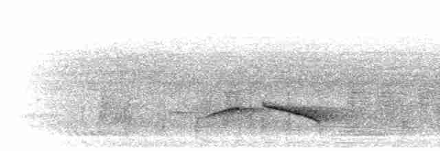 Puff-throated Babbler - ML283376