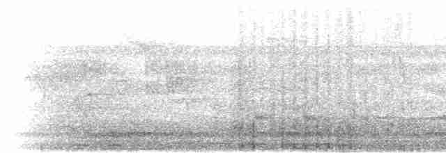 Синебородая щурка - ML283401