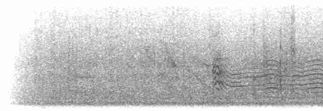 luňák bělohlavý - ML283420