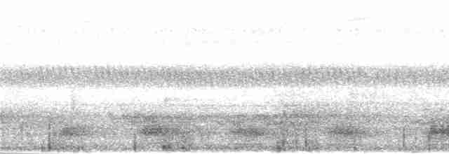 Andaman Kestane Yelvesi - ML283471
