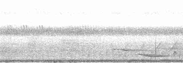 Andaman Kestane Yelvesi - ML283473