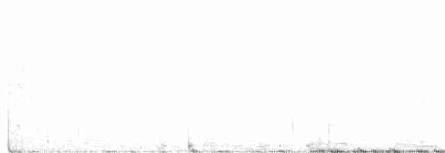 Ak Kuyruklu Kar Tavuğu - ML283520031