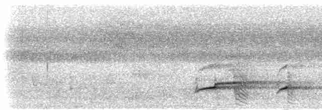 Aigle huppé (groupe limnaeetus) - ML283539