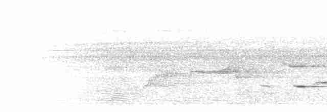 Mangrove Whistler - ML283579