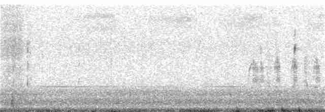 běhulíkovec pestrý - ML283593651