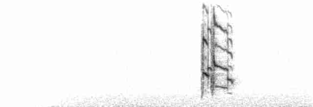 Короткоклювый бекасовидный веретенник - ML283620481